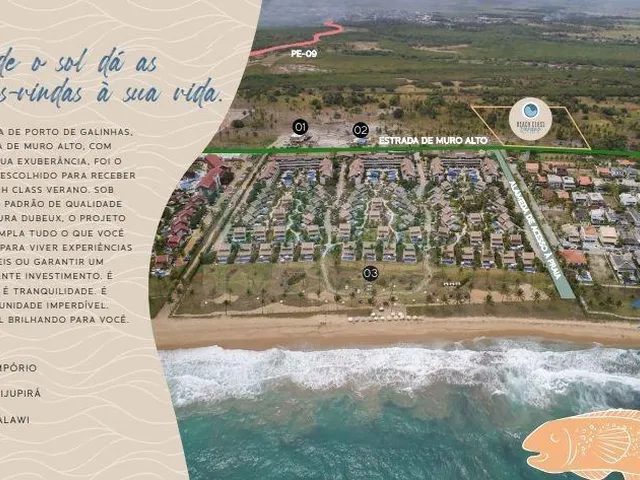 Imagem 7: Beach Class Verano