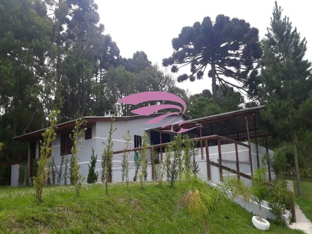 Imagem: Chacara Comercial em São José dos Pinhais