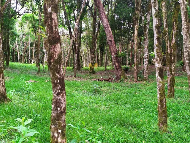 Imagem: Chácara À Venda no Recreio da Serra em