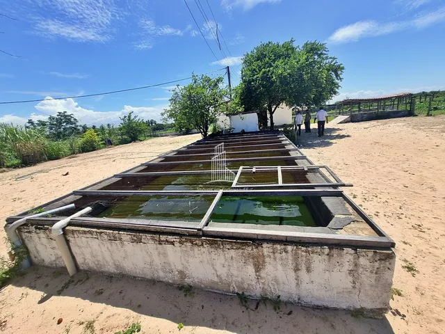 Imagem 9: Fazenda/Terreno À Venda em Uruaú - Beberibe/Ce