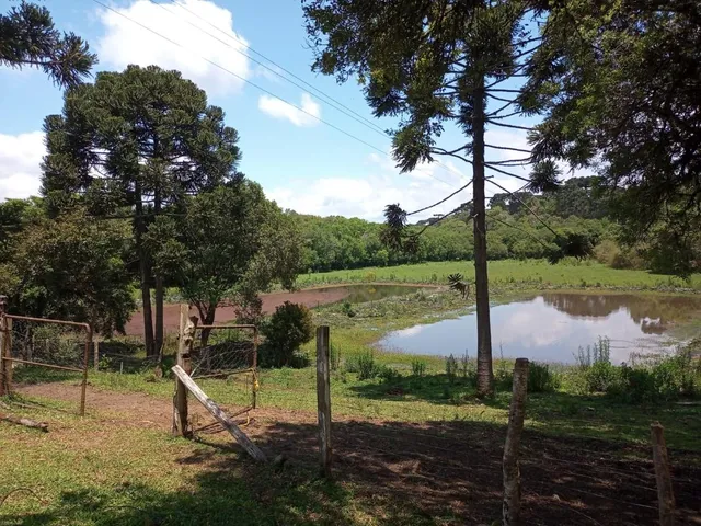 Imagem: Chácara Linda em Rio da Várzea, Mandirituba