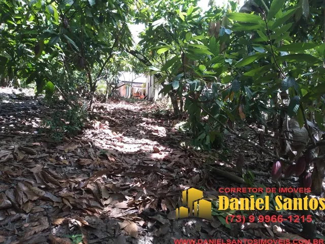 Imagem: Fazenda Residencial em Itacaré - Ba, Centro