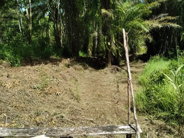 Imagem 14: Fazenda Residencial em Itacaré - Ba, Centro