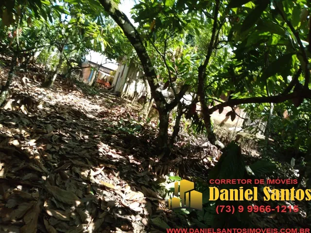 Imagem 3: Fazenda Residencial em Itacaré - Ba, Centro