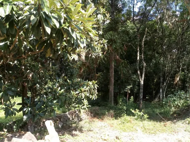 Imagem 1: Terreno Residencial em Nova Petrópolis - Rs, Linha Brasil