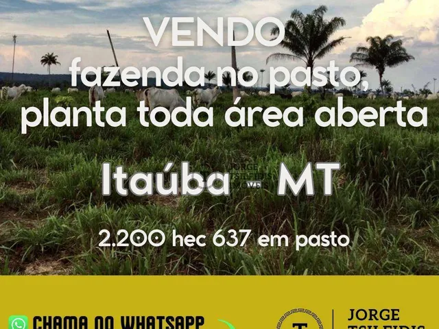 Imagem: Fazenda com 4 Dormitórios À Venda, 2200
