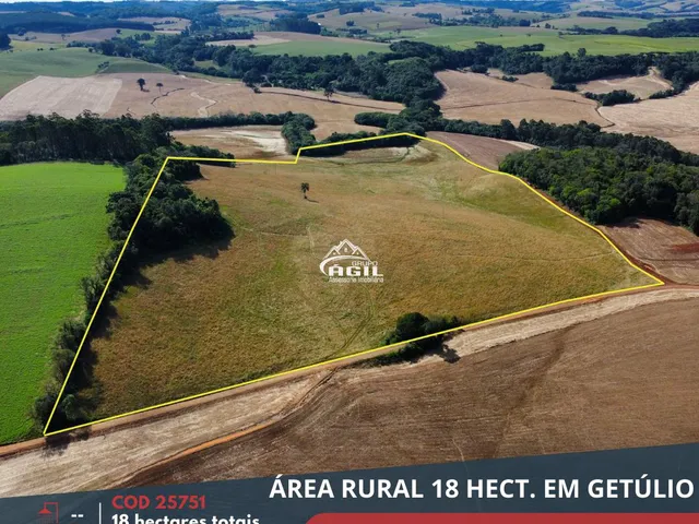 Imagem: Excelente Área Rural, Localizada em Linha