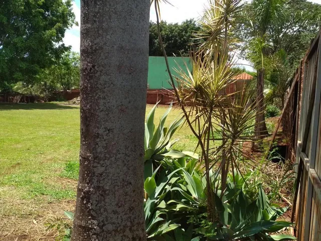 Imagem 8: Chácara para Venda em Maringá, Loteamento Batel, 4 Dormitórios, 3 Banheiros, 3 Vagas