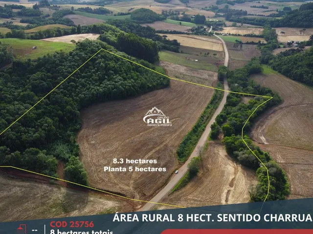 Imagem: Área Rural, Ao Lado da Rs 475, a 7Km do