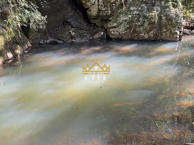 Imagem: BELÍSSIMO SÍTIO COM RIACHO EM NOVA PETRÓPOLIS-RS
