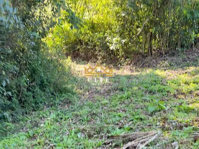 Imagem 3: BELÍSSIMO SÍTIO COM RIACHO EM NOVA PETRÓPOLIS-RS