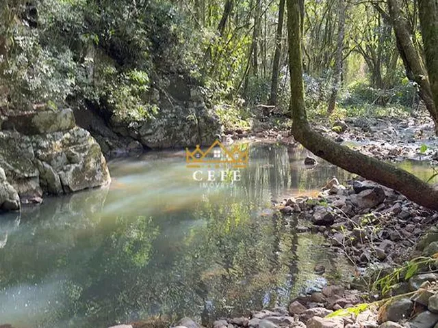Imagem 4: BELÍSSIMO SÍTIO COM RIACHO EM NOVA PETRÓPOLIS-RS