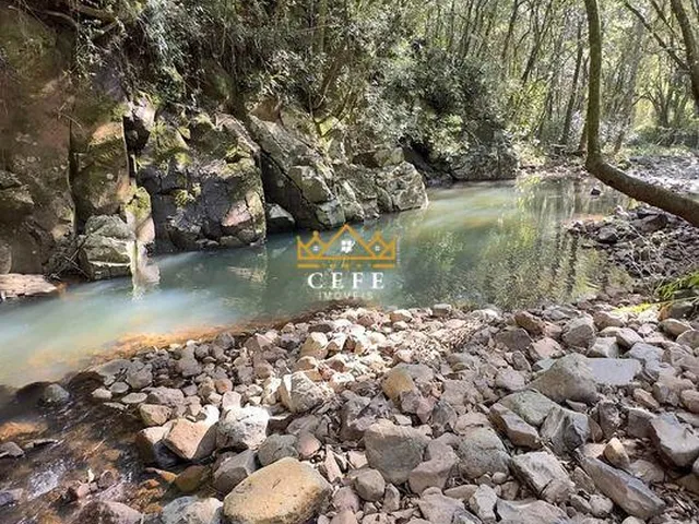 Imagem 5: BELÍSSIMO SÍTIO COM RIACHO EM NOVA PETRÓPOLIS-RS