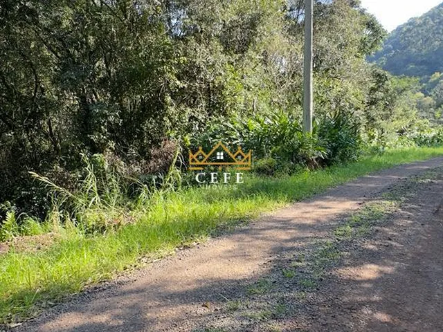 Imagem 8: BELÍSSIMO SÍTIO COM RIACHO EM NOVA PETRÓPOLIS-RS