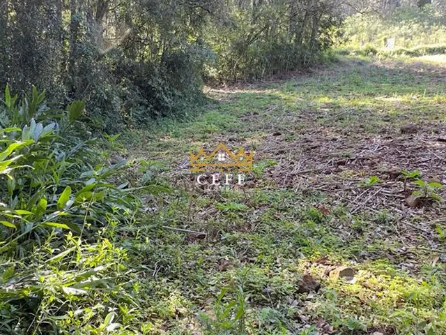 Imagem 10: BELÍSSIMO SÍTIO COM RIACHO EM NOVA PETRÓPOLIS-RS