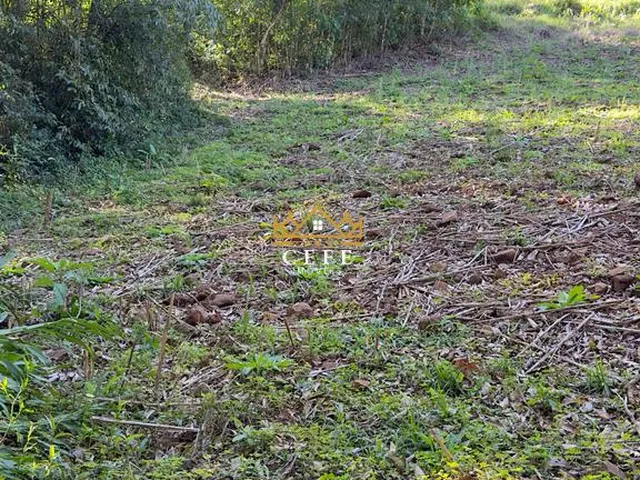 Imagem 11: BELÍSSIMO SÍTIO COM RIACHO EM NOVA PETRÓPOLIS-RS