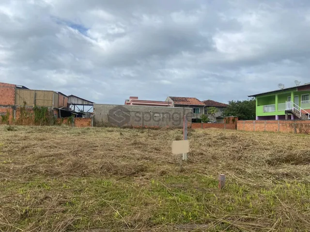 Imagem: Terreno - Figueira