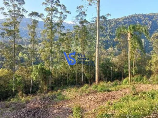 Imagem: Sítio em Nova Petrópolis/Rs!