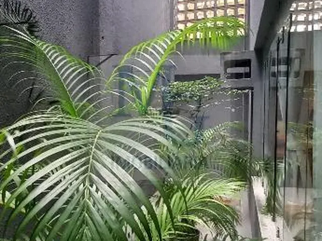 Imagem 6: Imóvel Comercial em Casa Forte