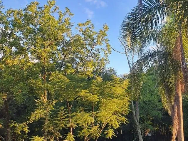 Imagem 5: Excelente Área com Casa Antiga!
