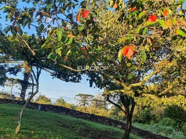 Imagem 2: Excelente Área com Casa Antiga!