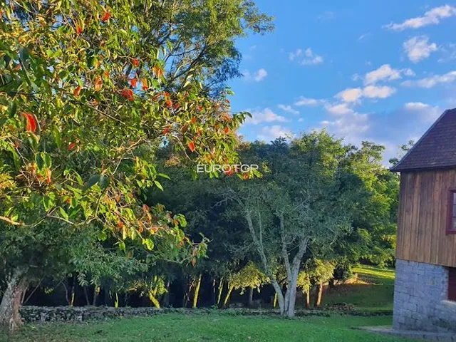 Imagem 3: Excelente Área com Casa Antiga!