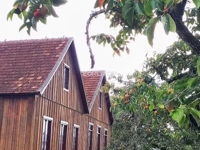 Imagem 7: Excelente Área com Casa Antiga!