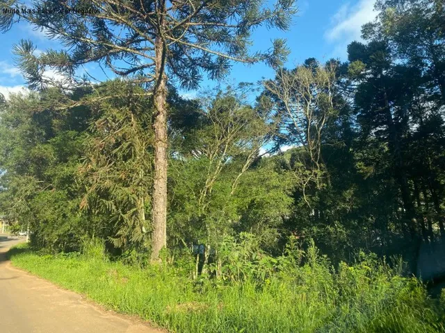 Imagem: Terreno Residencial em Nova Petrópolis