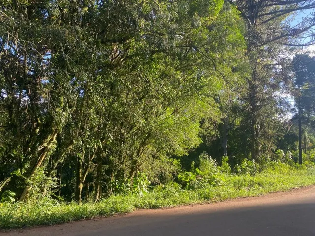 Imagem: Terreno Residencial em Nova Petrópolis