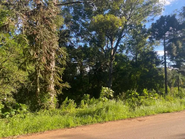 Imagem 3: Terreno Residencial em Nova Petrópolis - Rs, Linha Brasil