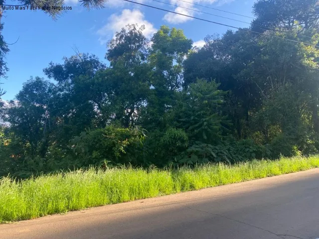 Imagem 4: Terreno Residencial em Nova Petrópolis - Rs, Linha Brasil