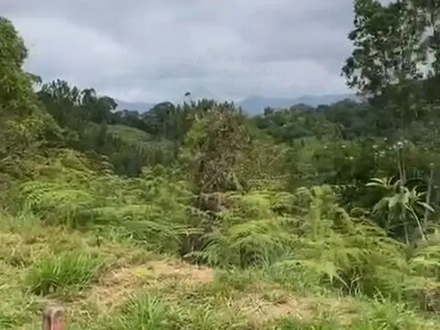 Imagem 1: Incrível e Amplo Terreno de 1.500M² de Área Total