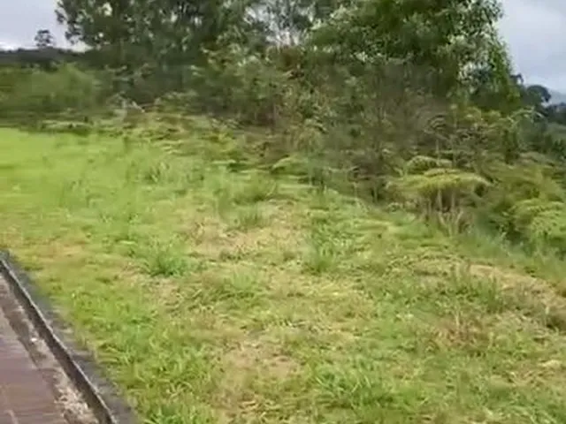 Imagem 9: Incrível e Amplo Terreno de 1.500M² de Área Total