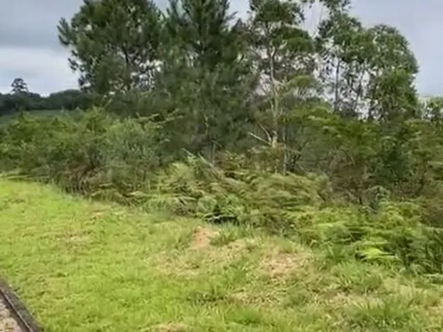 Imagem 12: Incrível e Amplo Terreno de 1.500M² de Área Total