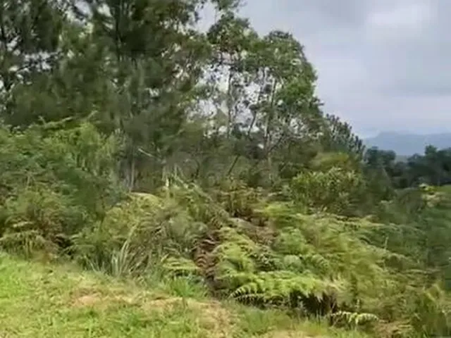 Imagem 14: Incrível e Amplo Terreno de 1.500M² de Área Total