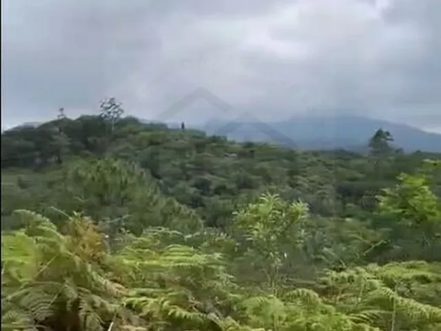Imagem 15: Incrível e Amplo Terreno de 1.500M² de Área Total