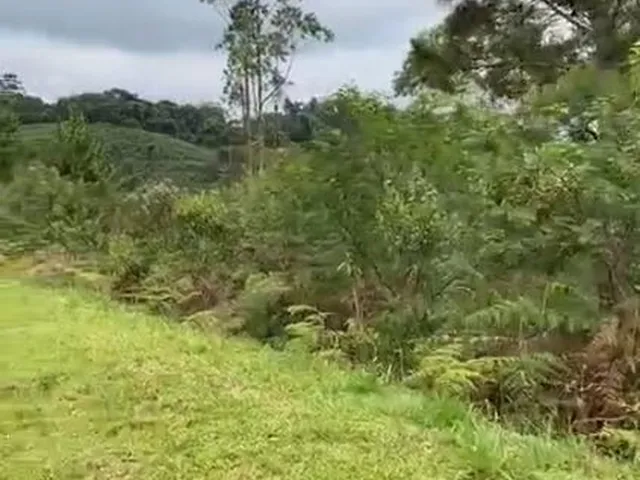 Imagem 4: Incrível e Amplo Terreno de 1.500M² de Área Total