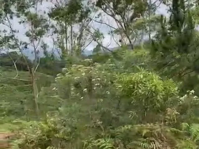 Imagem 5: Incrível e Amplo Terreno de 1.500M² de Área Total