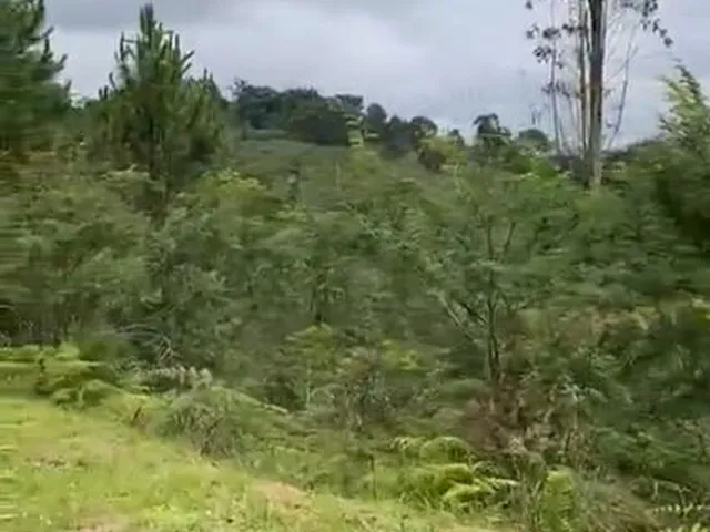 Imagem 7: Incrível e Amplo Terreno de 1.500M² de Área Total