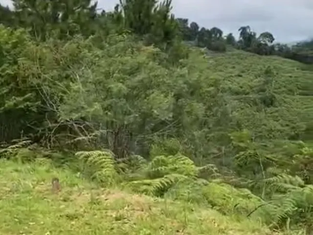 Imagem 2: Incrível e Amplo Terreno de 1.500M² de Área Total