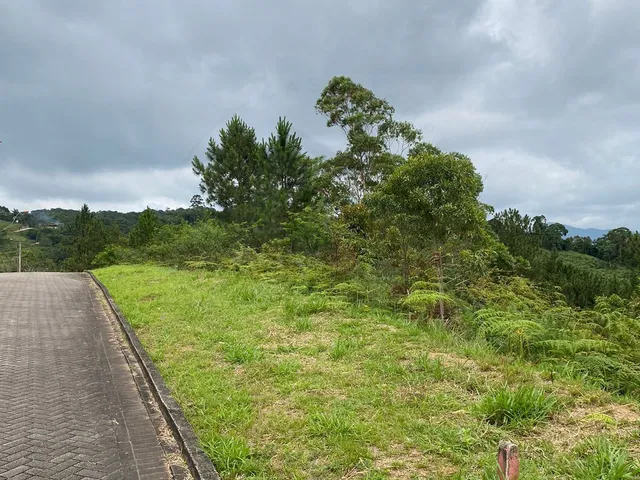 Imagem 11: Incrível e Amplo Terreno de 1.500M² de Área Total