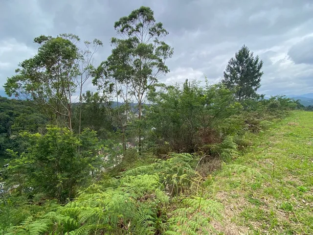 Imagem 8: Incrível e Amplo Terreno de 1.500M² de Área Total