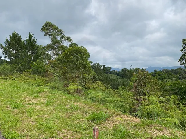 Imagem 13: Incrível e Amplo Terreno de 1.500M² de Área Total