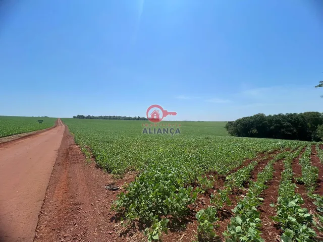 Imagem 1: Área Rural À Venda, Linha Gramado, Toledo - Pr