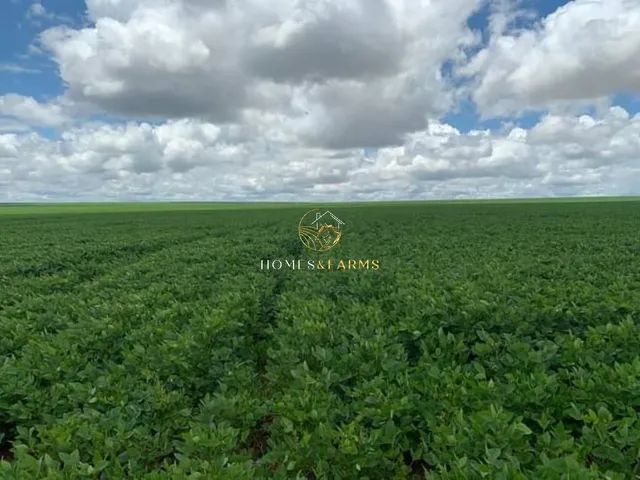 Imagem: Fazenda a Venda em Mato Grosso (Dupla Aptidão