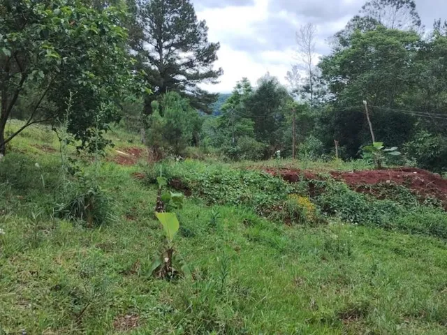 Imagem: Área de Terra À Venda em Campo Bom