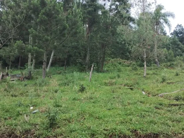 Imagem 2: Área de Terra À Venda em Campo Bom