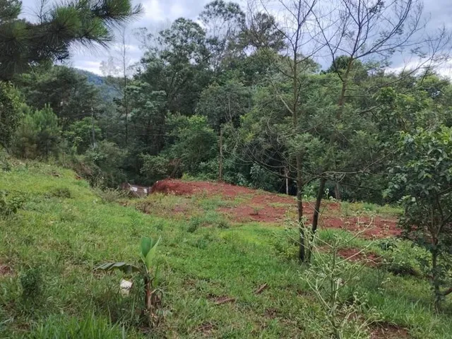 Imagem 3: Área de Terra À Venda em Campo Bom