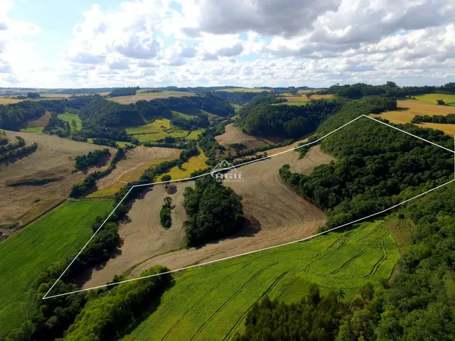 Imagem 4: Área Rural, Localizada Próximo Ao Km 16 e a Comunidade de Linha Torresmo, Interior De
