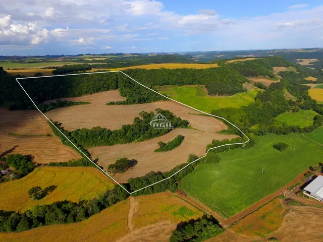 Imagem 5: Área Rural, Localizada Próximo Ao Km 16 e a Comunidade de Linha Torresmo, Interior De